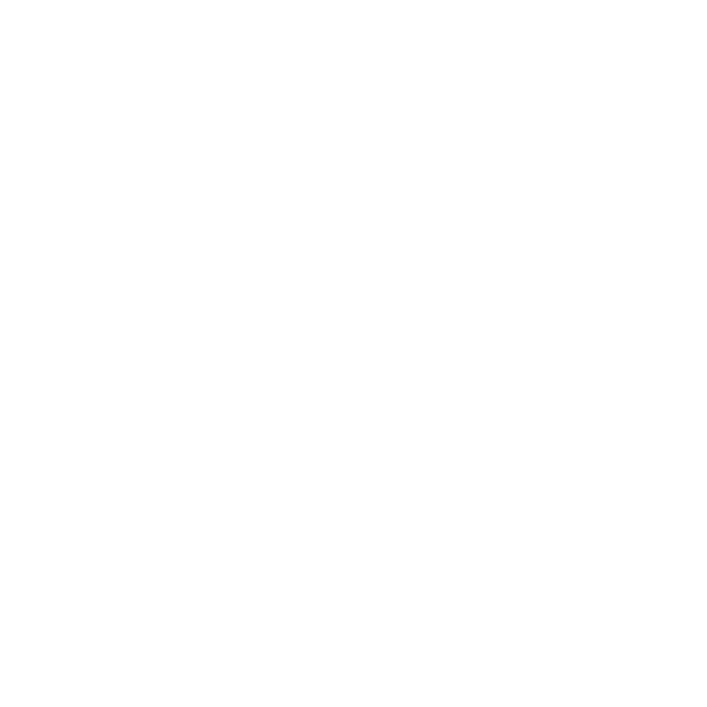Burned in Stones (White)